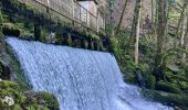 Tocht  Les Planches-près-Arbois - Cascades des tuff - Photo 4