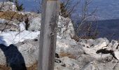 Tour Schneeschuhwandern Autrans-Méaudre en Vercors - La Quoi 2022 - Photo 1