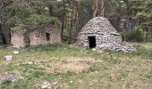 Tour Wandern Saint-Saturnin-lès-Apt - Tour des Aiguiers-St Saturnin des Apt09-05-23 - Photo 8