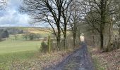 Trail Walking Gouvy - Gouvy 23 km  - Photo 17