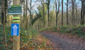 Trail Walking Ham-sur-Heure-Nalinnes - GR 129 Noirchien - N-D Loverval  - Photo 15