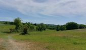 Tour Wandern Dison - 4821 Andrimont (Verviers) 15Km marche adeps du 15/05/2022 - Photo 11