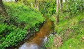 Tocht Te voet Sittensen - Nordpfad 'Börde Sittensen' - Photo 4