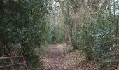 Percorso A piedi Teignbridge - Kenn to Haldon Trail - Photo 3