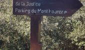 Trail Walking Nice - Vinaigrier Mont Bastide - Photo 1