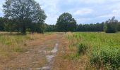 Randonnée Marche Liège - Quadrifyon autour de la lande de Streupas - Photo 2