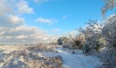 Randonnée Marche Spa - berinzenne entre forêt et fagne  - Photo 7