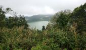 Trail Walking Furnas - pico et lac furnas - Photo 2