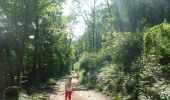 Trail On foot Houyet - GrWandArdRiv27: Gendron: een prachtig stuk Beneden-Lesse (PVDB) - Photo 2