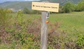 Excursión Senderismo Vernet-les-Bains - Sahorre dolmen - Photo 15