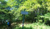 Tour Zu Fuß Calolziocorte - Sentiero 801: Sentiero della valle San Martino - Photo 3