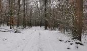 Trail Walking Florenville - 10-Les Epioux boucle7km500 vers cabane de chasse - Photo 4