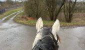 Trail Horseback riding Neufchâteau - Villages Hamipré et Cousteumont  - Photo 2