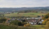 Percorso A piedi Gladenbach - Karl-Lenz-Weg - Photo 4