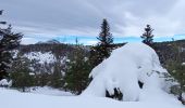 Randonnée Ski de fond Thorame-Haute - ski de fond colle baudet - Photo 1