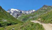 Excursión Senderismo Pralognan-la-Vanoise - Prioux, Chapendu - Photo 5