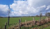 Excursión Senderismo Florenville - marche adeps Chassepierre  - Photo 2