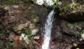 Excursión Senderismo São Jorge - Levada do Rei (Rother n°30) - Photo 12