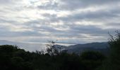 Trail Road bike Le Lavandou - bormes col canadel bormes - Photo 11