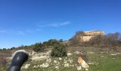 Tour Wandern Tarerach - Taerach plateau de Sequires (Chapelle St Vincent - Photo 2