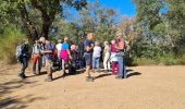 Excursión Senderismo Les Arcs-sur-Argens - Vidauban - Tournavelle - Photo 1