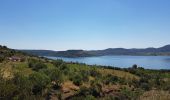 Tocht Stappen Le Puech - Les Vailhès Laulo Plateau d'Auverne Salagou - Photo 13