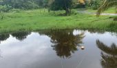Trail Running Sainte-Anne - Belle mare - Photo 2