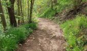 Trail Walking Châtel-Guyon - VALLEE DE SANS SOUCI - CHATEAU DE CHAZERON - Photo 17