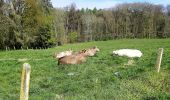 Trail Walking Chaumont-Gistoux - #210427 - Longueville, Hèze et Petit Hacquedeau - Photo 3