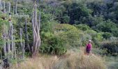 Percorso Marcia Le Marin - Grand Macabou - Boucle des Mornes - Photo 7