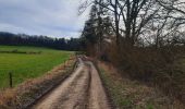 Excursión Senderismo Hamoir - trek GR57 jour 4 : Hamoir - Bomal-sur-Ourthe - Photo 6