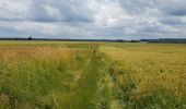 Tour Wandern Clavier - Pailhe - Château de Modave - Photo 4