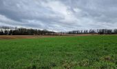 Tour Wandern Wavre - #240209 - Bierges, autour du Bois Wilmet** (version courte horlogique) - Photo 5