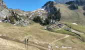 Tour Wandern Vacheresse - Ubine, col d'Ubine, col des Mosses, chalets de Bise, lac de Fontaine - Photo 12