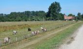 Percorso A piedi Kellenhusen - Klosterseeroute, Kellenhusen - Photo 5