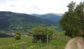 Trail Walking Sondernach - mp sondernach 2019 - Photo 7