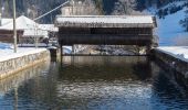 Tour Zu Fuß Gemeinde Hollenstein an der Ybbs - AT-3 - Photo 8