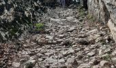 Trail Walking Plateau-des-Petites-Roches - crenoz - Photo 7