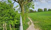 Trail Walking Voeren - Amstel Gold Race 2024 🚲 - Photo 1
