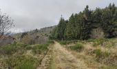 Tocht Stappen Le Bessat - Croix de Chaubouret - Crêt de Botte - Col de l'Oeuillon  - Photo 8