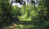 Excursión Senderismo Lacroix-Saint-Ouen - en forêt de Compiègne_35_la Croix Saint-Sauveur_le Ru du Goderu - Photo 12