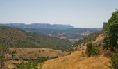 Tour Zu Fuß Bitzi/Bitti - (SI Z09) Caserma Forestale “Gianni Stuppa” - Vecchia Cantoniera di Sant’Anna - Photo 8