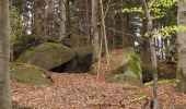 Percorso A piedi Raspenava - NS Oldřichovské háje a skály - Photo 4