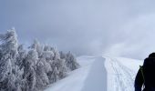 Tocht Sneeuwschoenen La Bollène-Vésubie - Col de Turini a la pointe des 3 communes - Photo 2