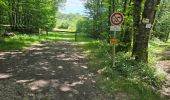 Tour Wandern Valloire-sur-Cisse - Seillac - Circuit des Bois - Photo 7