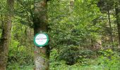 Tocht Stappen Le Syndicat - Circuit depuis col du chéneau par brasserie et point de vue - Photo 4