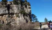 Excursión Senderismo Saint-Étienne-de-Gourgas - Forêt de Parlatges - Roc de l'Eglise - Photo 13