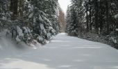 Randonnée A pied Bușteni - Bușteni - Orjogoaia - Trăisteni - Photo 8