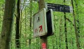 Trail On foot Velbert - Langenhorst Rundweg A1 - Photo 3