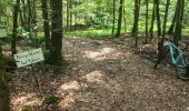 Trail Mountain bike Magny-Vernois - Magny Vernois,  ois de lantenot et de belmont - Photo 2